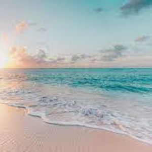 Meet your Posher, Ava